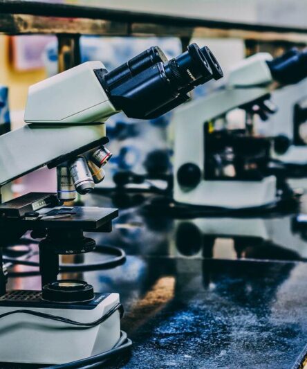 Contract Research Custom Synthesis